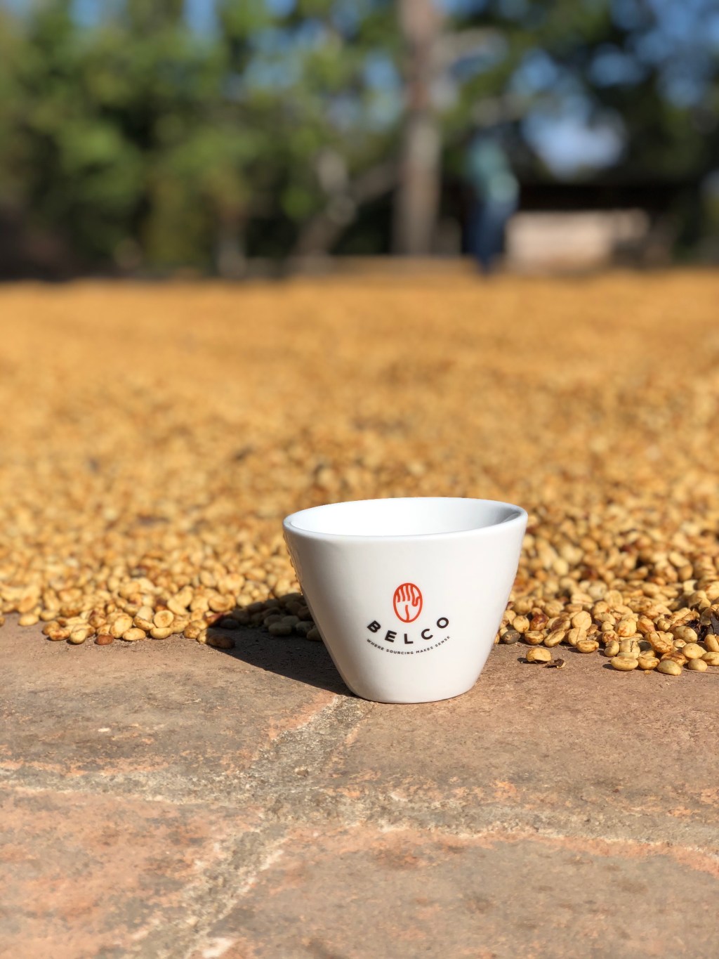 Diez años con Belco