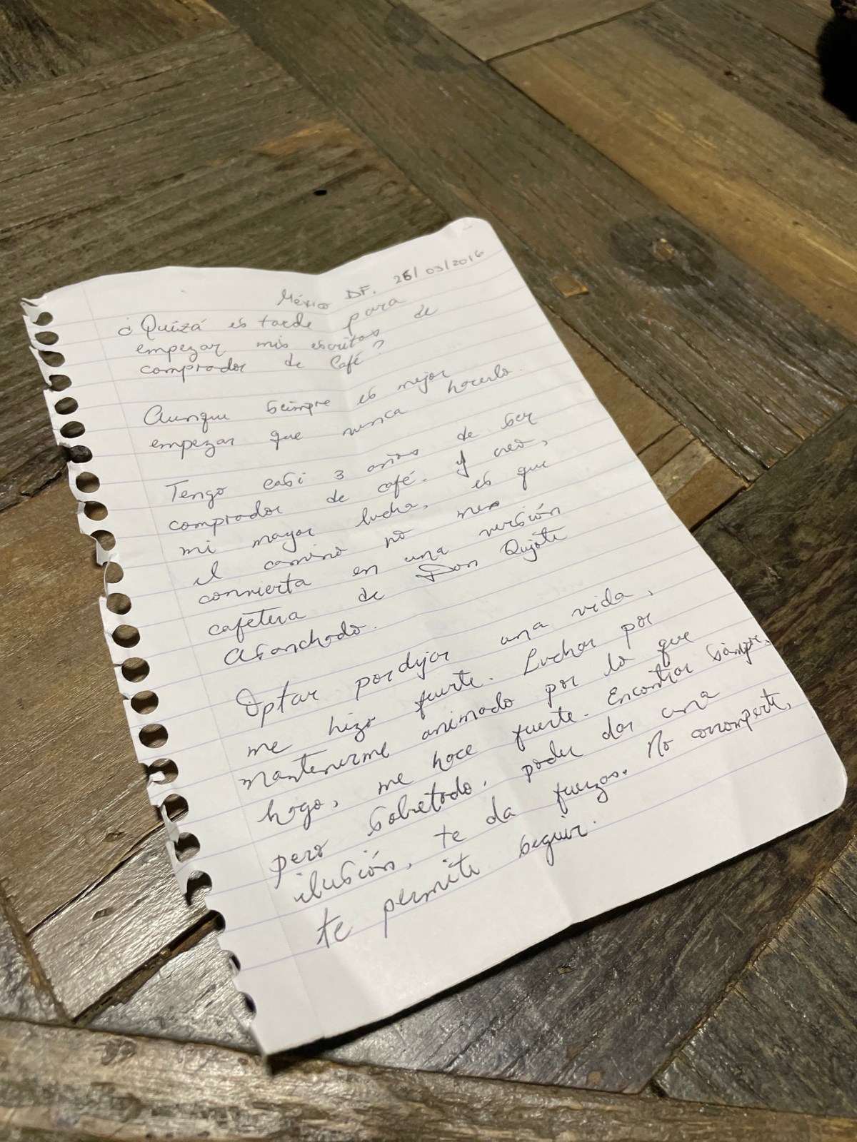 Don Quijote Asanchado